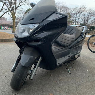 マジェスティCの画像