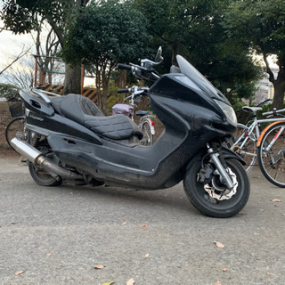 マジェスティCの画像