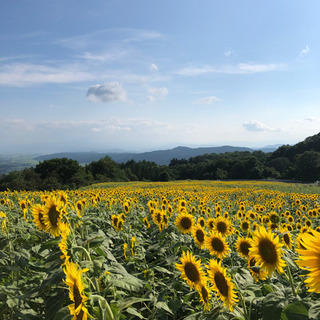 一緒に一歩踏み出してくれませんか！ - 郡山市