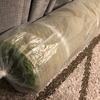 IKEA 緑色 ラグ