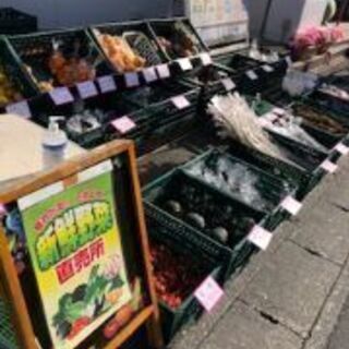 軒先で野菜やフルーツを販売できる場所、直売所を探しております！