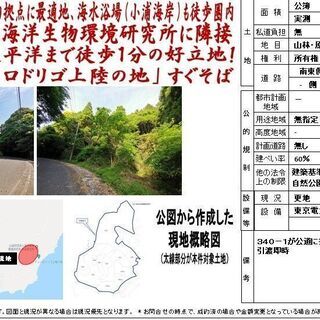 御宿2433坪　国定公園　太平洋徒歩１分好立地　公益財団法人海洋生物環境研究所に隣接　有名な「ドン・ロドリゴ上陸の地」すぐそば　民宿や釣り拠点に最適地、海水浴場（小浦海岸）も徒歩圏内　 - 夷隅郡