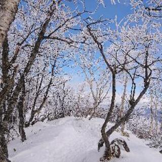 雪山登山仲間募集 - メンバー募集