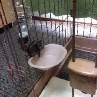 リッチェル 犬 ケージの画像