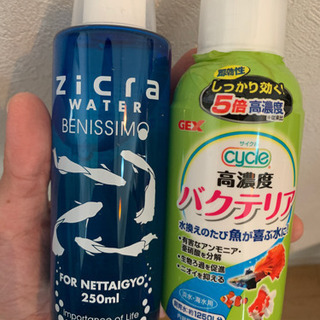 生体付き水槽の画像