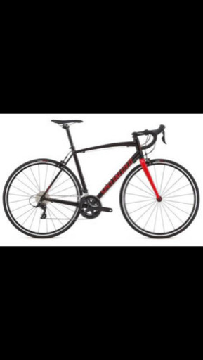 ロードバイク　specialized