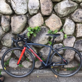 ロードバイク　specialized