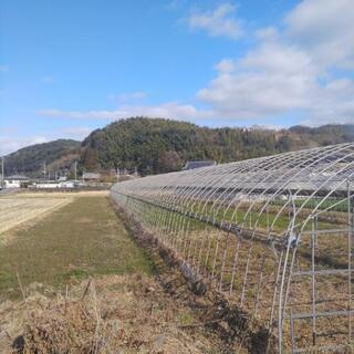 ビニールハウス
