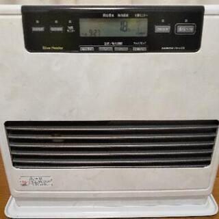 MTG 水辺の学舎、水面院 初版 FOIL 英語