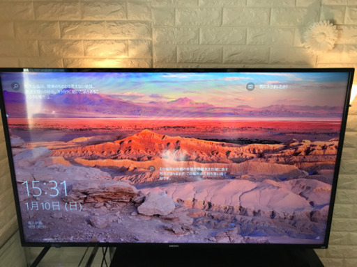 55型　4K対応　19年製　オリオン