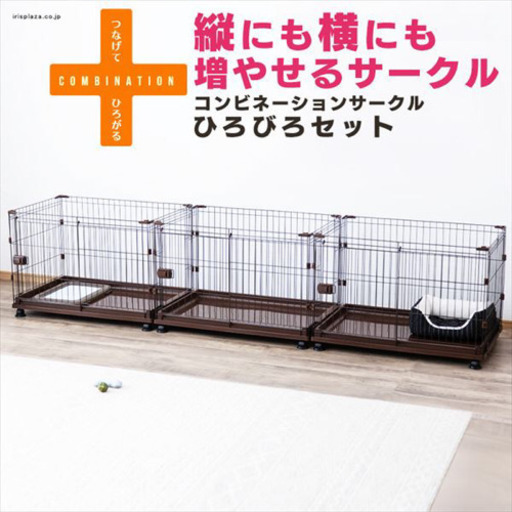 わんわんお迎えスターターキット