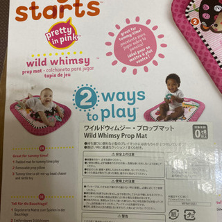 ワイルドウィムジー　プロマットの画像