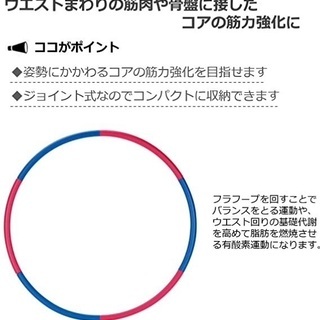 IRONMAN CLUB(鉄人倶楽部) シェイプ アップ フラフ...