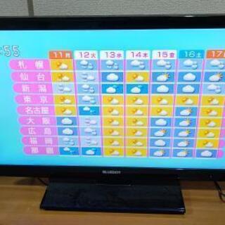 BLUEDOT LED 24インチ　液晶テレビ