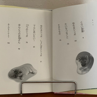 児童書:ゆれるシッポの子犬・きららの画像