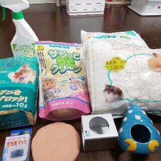 ハムスター飼育用品全セット🐹