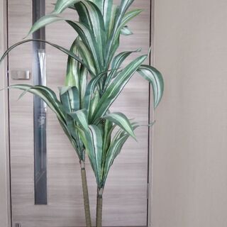 人工観葉植物　フェイクグリーン
