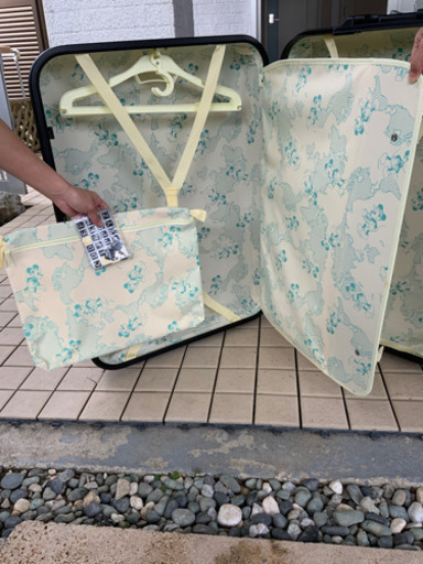 ミッキーキャリーバック
