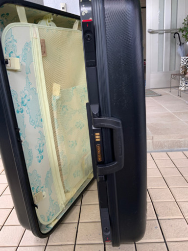 ミッキーキャリーバック