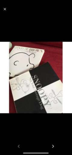 激レア‼️2冊‼️【英語】スヌーピー⭐︎チャーリーブラウン⭐︎古本 インテリア ヴィンテージ  洋書