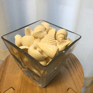 ハワイ　貝殻　置き物