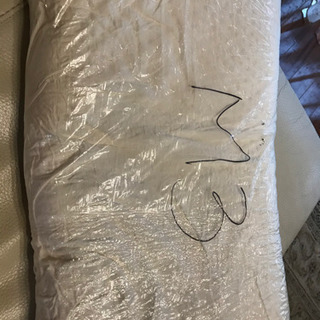 新品　プラント品　枕の画像