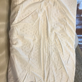 新品　プラント品　枕の画像