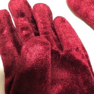 【未使用】おしゃれ手袋の画像