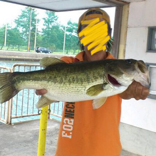バス釣り友達作りませんか？🎣