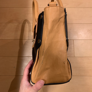 【お引き渡し調整中】【訳あり】Plush&Lushトートバッグの画像