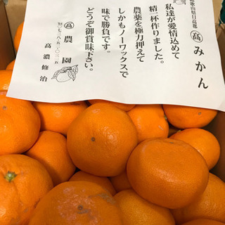◆完全売切！税込価格！◆和歌山県日高郡産・丸高農園入野早生みかん...