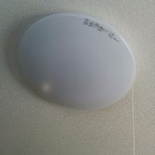 天井照明