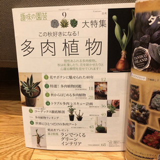 多肉植物特集の『趣味の園芸』2冊セットの画像