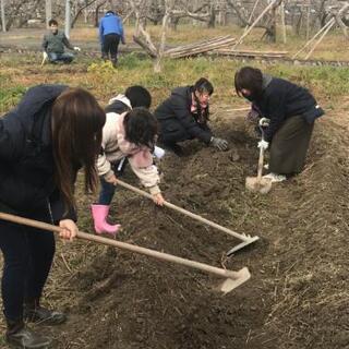 自然農法体験希望メンバー募集🍅 − 和歌山県