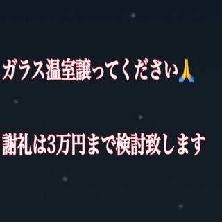 宮城県でガラス温室をお譲りください🙏