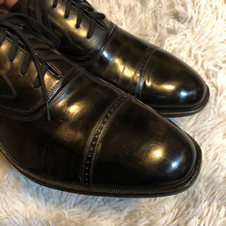 Speroni 9 イタリア製ストレートチップの画像