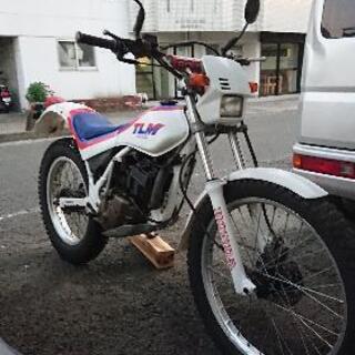 【1988'TLM220Ｒ 2stトライアル】ホンダ （検 オフ車 MD TL TLR XT XL MTX CR YT TS DT KDX の画像