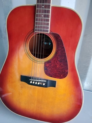 Morris アコースティックギター MD-507 モーリス
