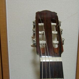 全音クラシックギターの画像