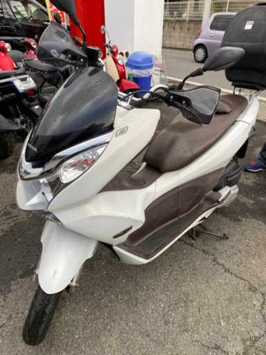 HONDA pcx125 逆輸入　125cc 福岡市南区　白色
