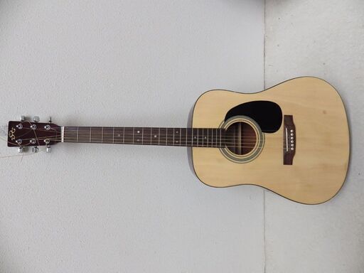 アコースティックギター SX160 NA