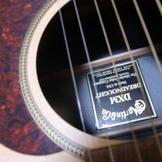 マーチンDXM (他社ハードケース付)の画像