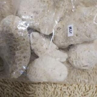 B級 訳あり サンゴ石 2袋あります。 オカヤドカリ  アクアリウムの画像