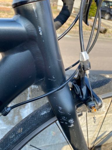 ２０１９　Cannondal　CAAD Optimo Sora BBQ