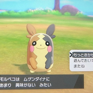 ポケモン矛盾友達募集 - 江戸川区