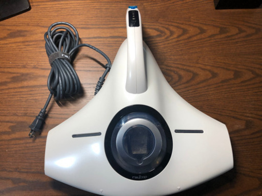 【花粉症対策】RAYCOP RS-300JWH