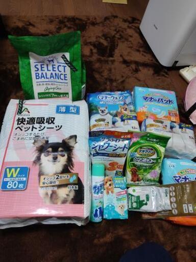 本日のみセールペット用品セット 新品未開封多数