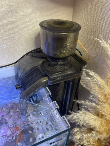 海水水槽セット
