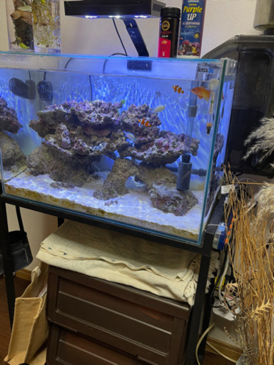 海水水槽セット