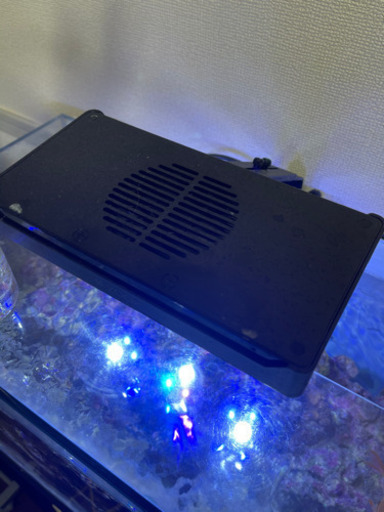 海水水槽セット